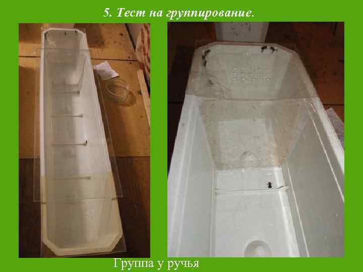 5. Тест на группирование. Группа у ручья 