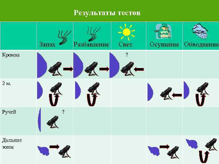 Результаты тестов Разбавление Запах Кромка ? 2 м. Ручей Дальние зоны Свет ? Осушение