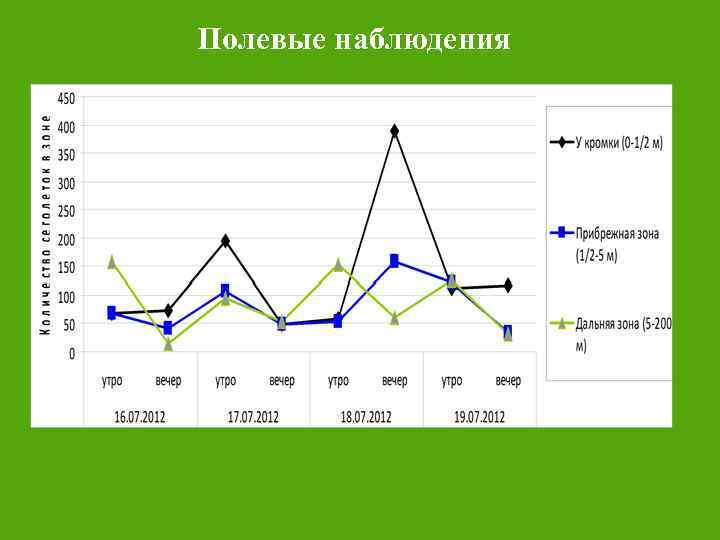 Полевые наблюдения 