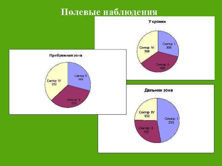 Полевые наблюдения 