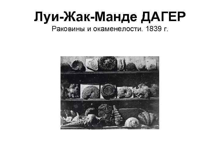 Луи-Жак-Манде ДАГЕР Раковины и окаменелости. 1839 г. 