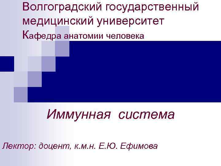 Волгоградский государственный медицинский университет Кафедра анатомии человека Иммунная система Лектор: доцент, к. м. н.