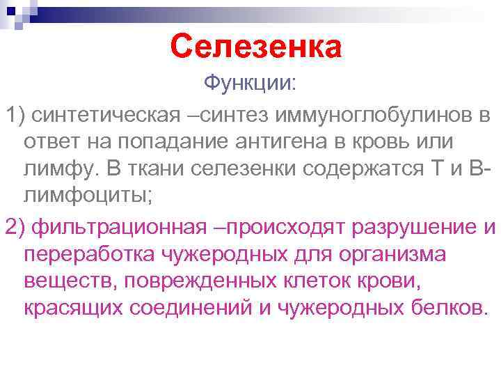  Селезенка Функции: 1) синтетическая –синтез иммуноглобулинов в ответ на попадание антигена в кровь