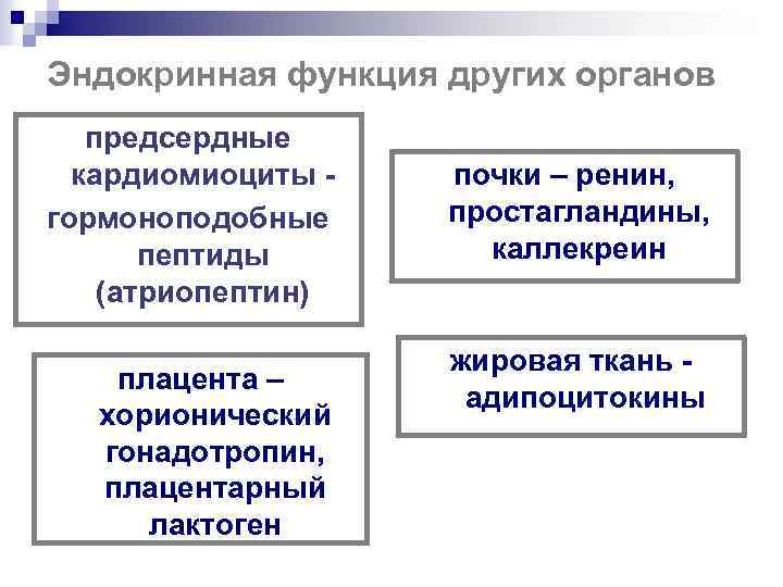 Эндокринная функция других органов предсердные кардиомиоциты гормоноподобные пептиды (атриопептин) плацента – хорионический гонадотропин, плацентарный