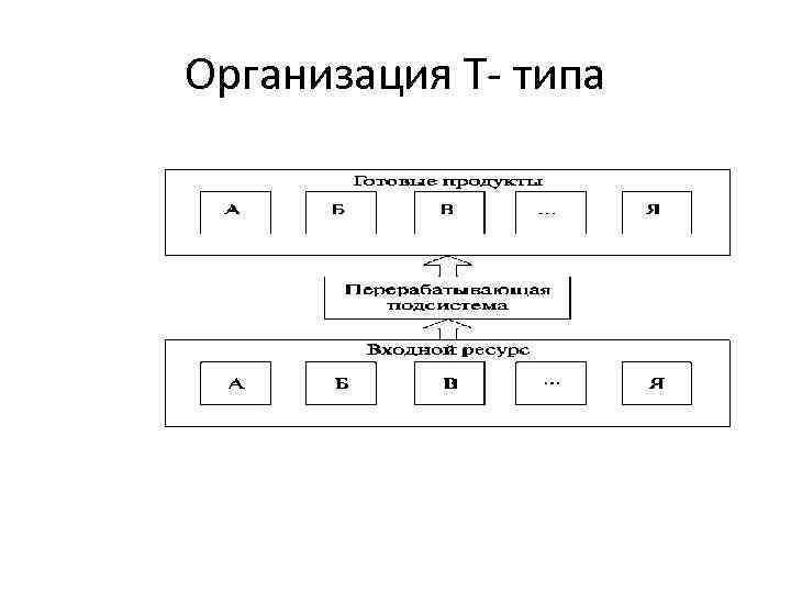 Организация Т- типа 