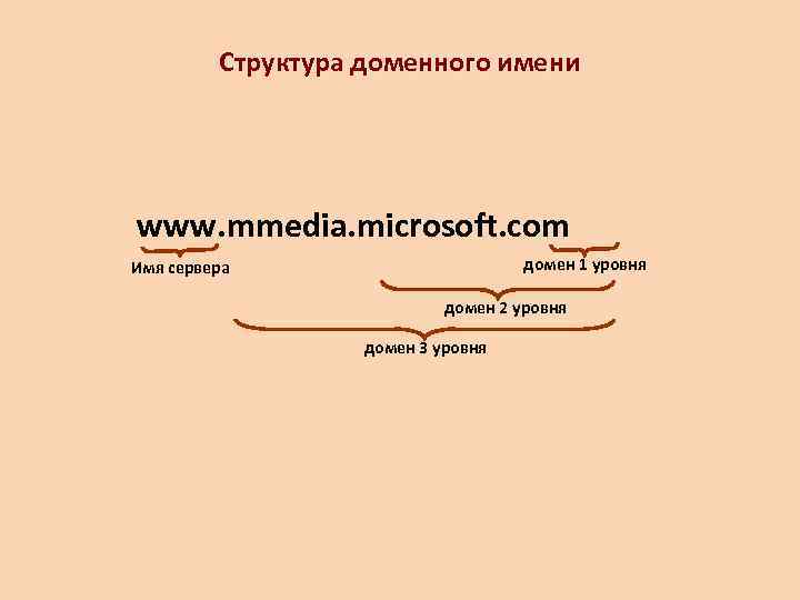    Структура доменного имени www. mmedia. microsoft. com Имя сервера  