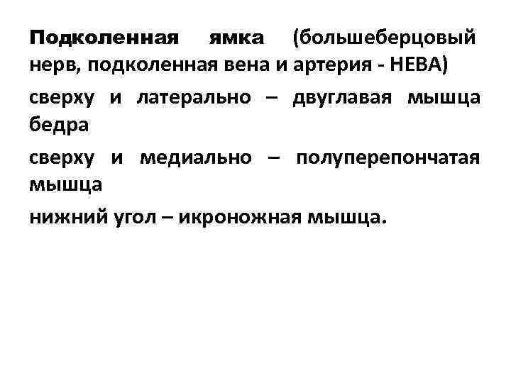 Подколенная  ямка (большеберцовый нерв, подколенная вена и артерия - НЕВА) сверху и латерально