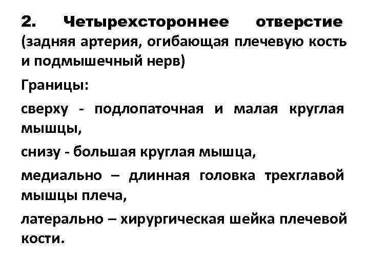 2.  Четырехстороннее  отверстие (задняя артерия, огибающая плечевую кость и подмышечный нерв) Границы:
