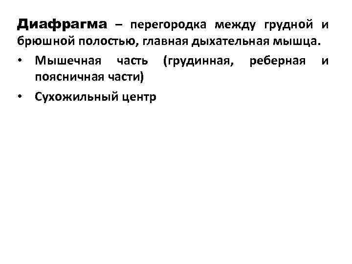 Диафрагма – перегородка между грудной и брюшной полостью, главная дыхательная мышца.  • Мышечная