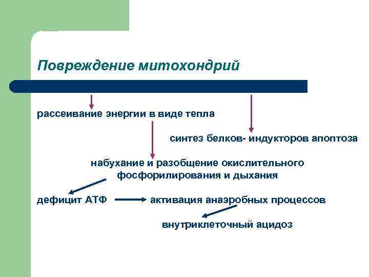 Повреждение митохондрий  рассеивание энергии в виде тепла     синтез белков-