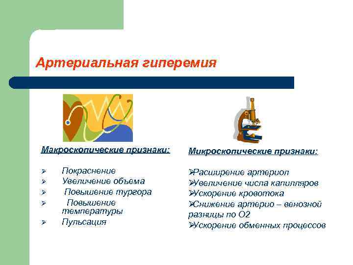 Артериальная гиперемия Макроскопические признаки:  Микроскопические признаки:  Ø  Покраснение   ØРасширение
