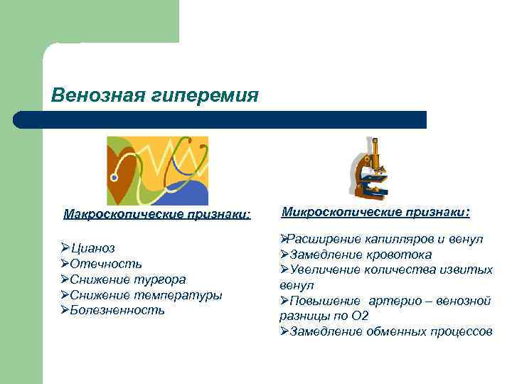 Венозная гиперемия Макроскопические признаки:  Микроскопические признаки:       ØРасширение