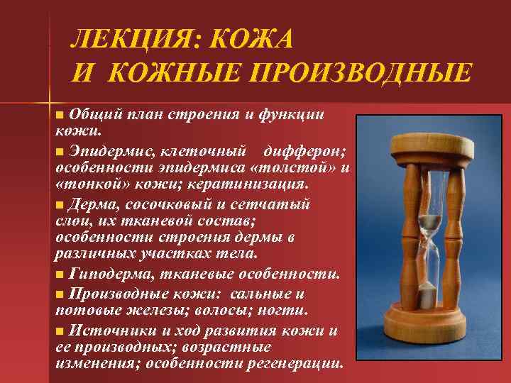 ЛЕКЦИЯ: КОЖА И КОЖНЫЕ ПРОИЗВОДНЫЕ n Общий план строения и функции кожи. ЛЕКЦИЯ: КОЖА И КОЖНЫЕ ПРОИЗВОДНЫЕ n Общий план строения и функции кожи.