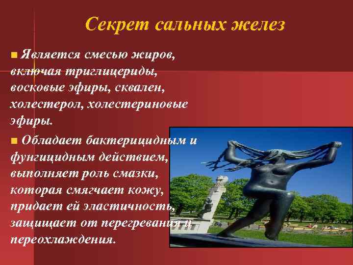 Секрет сальных желез n Является смесью жиров, включая триглицериды, восковые эфиры, Секрет сальных желез n Является смесью жиров, включая триглицериды, восковые эфиры,