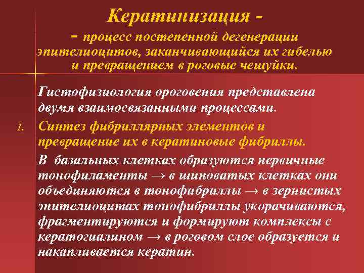Кератинизация - - процесс постепенной дегенерации эпителиоцитов, заканчивающийся их Кератинизация - - процесс постепенной дегенерации эпителиоцитов, заканчивающийся их