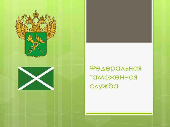 Федеральная таможенная служба 