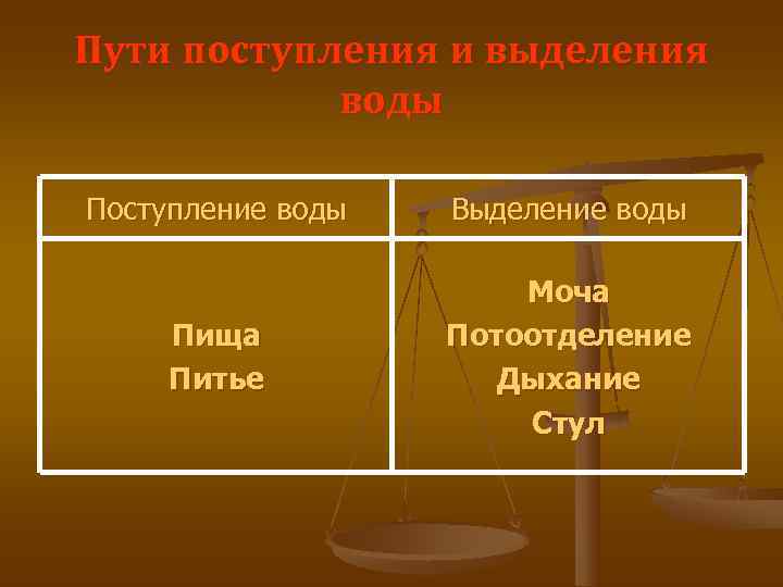 Пути поступления и выделения   воды Поступление воды  Выделение воды  