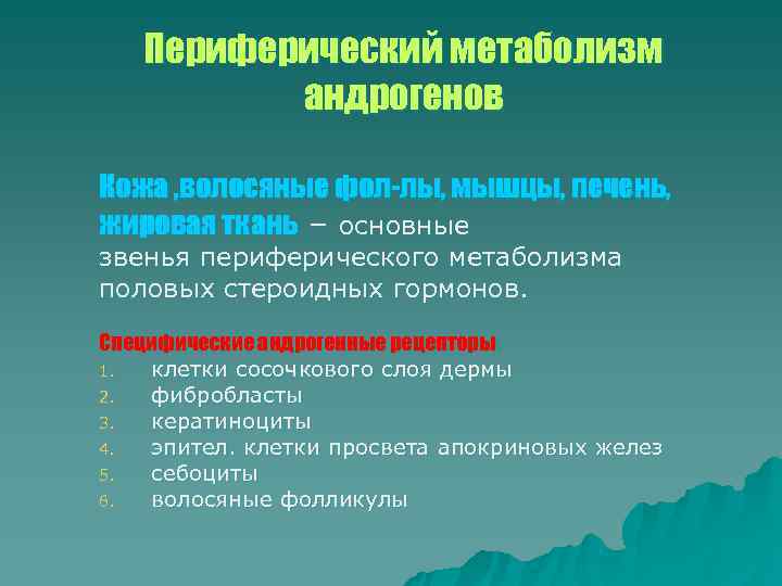   Периферический метаболизм  андрогенов Кожа , волосяные фол-лы, мышцы, печень, жировая ткань