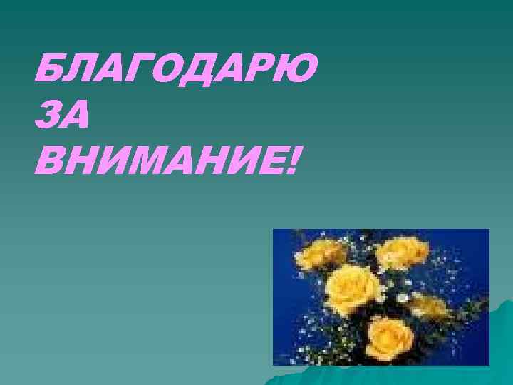 БЛАГОДАРЮ ЗА ВНИМАНИЕ! 
