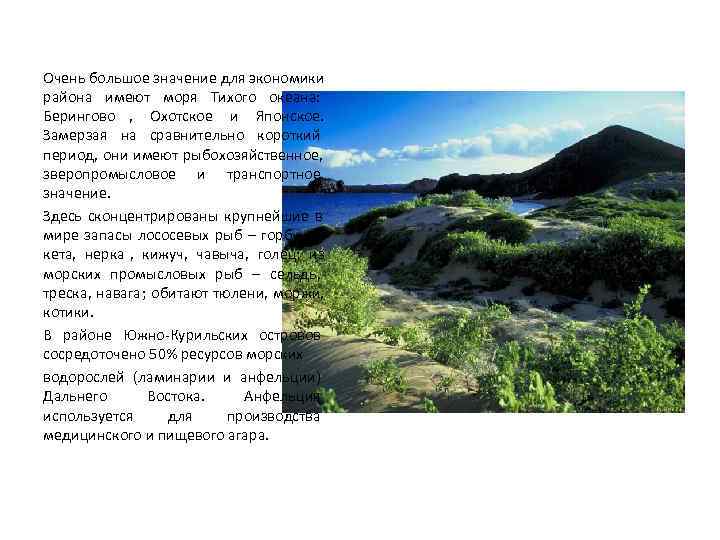 Очень большое значение для экономики района имеют моря Тихого океана:  Берингово , 