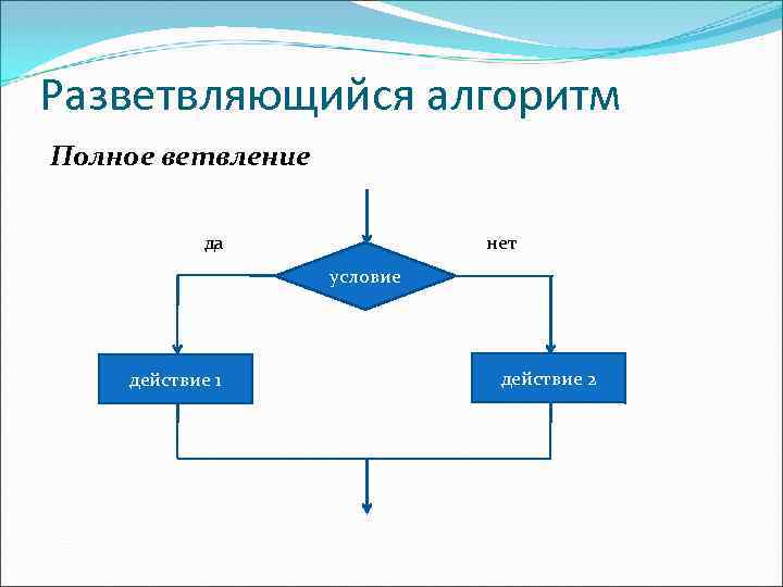 Разветвляющийся алгоритм фото