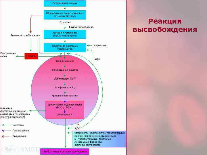   Реакция высвобождения 