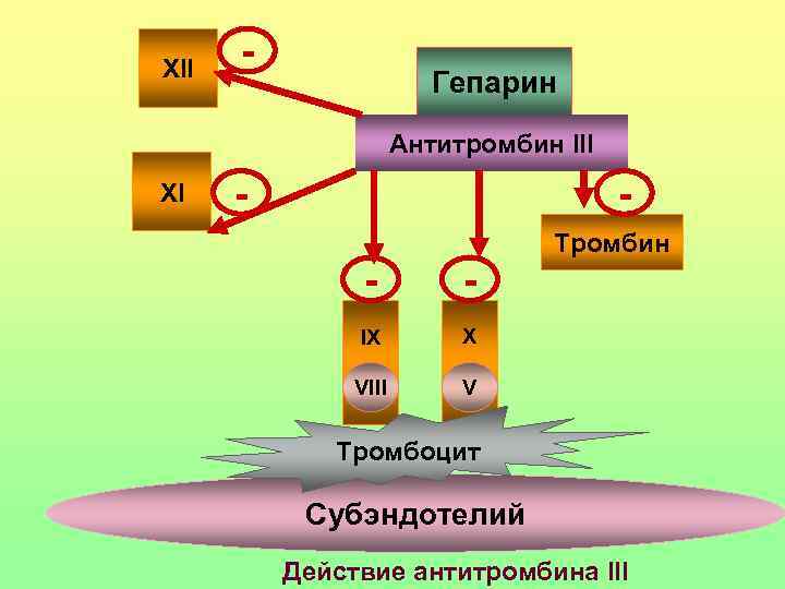 XII  -     Гепарин    Антитромбин III XI