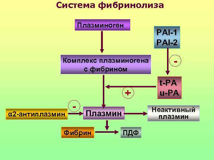 Схема фибринолиза физиология