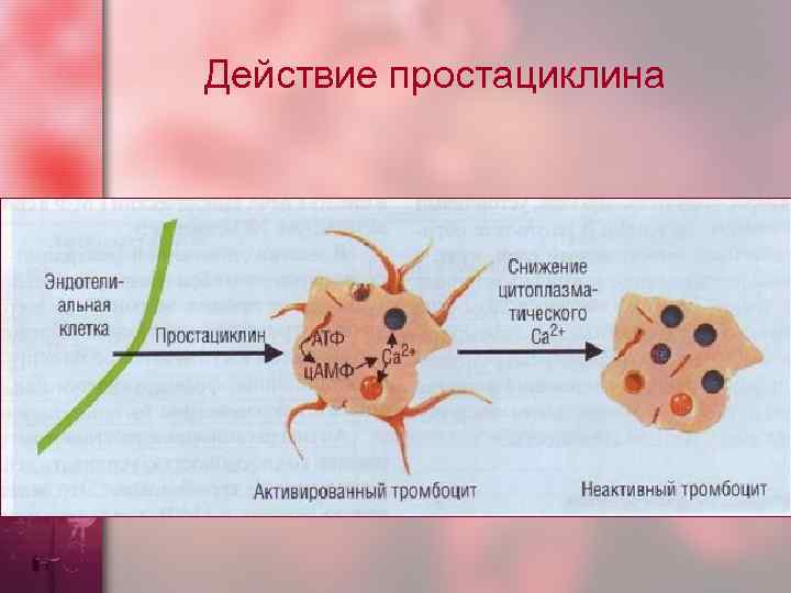 Действие простациклина 