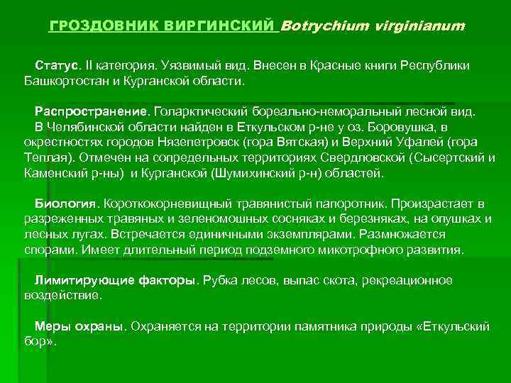 ГРОЗДОВНИК ВИРГИНСКИЙ Botrychium virginianum Статус. II категория. Уязвимый вид. Внесен в Красные книги Республики