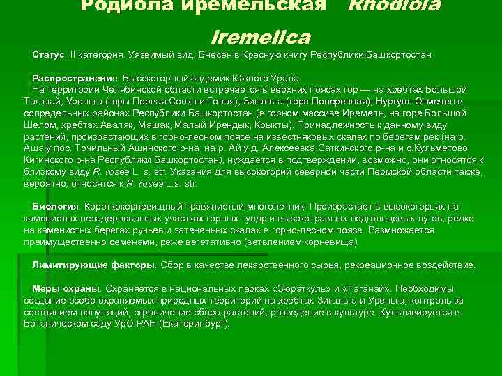 Родиола иремельская Rhodiola iremelica Статус. II категория. Уязвимый вид. Внесен в Красную книгу Республики