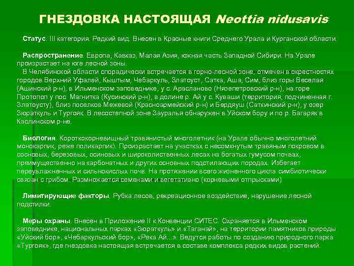 ГНЕЗДОВКА НАСТОЯЩАЯ Neottia nidusavis Статус. III категория. Редкий вид. Внесен в Красные книги Среднего