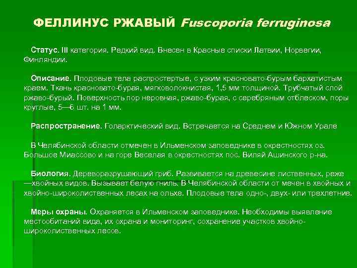 ФЕЛЛИНУС РЖАВЫЙ Fuscoporia ferruginosa Статус. III категория. Редкий вид. Внесен в Красные списки Латвии,