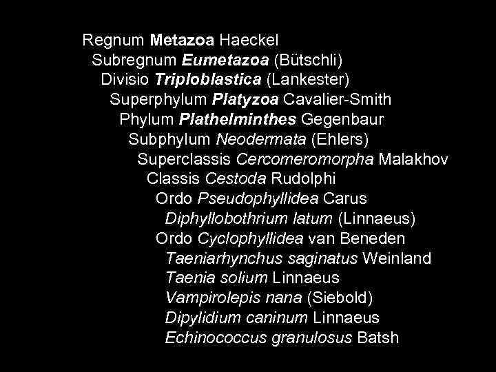 Regnum Metazoa Haeckel Subregnum Eumetazoa (Bütschli)  Divisio Triploblastica (Lankester)  Superphylum Platyzoa Cavalier-Smith