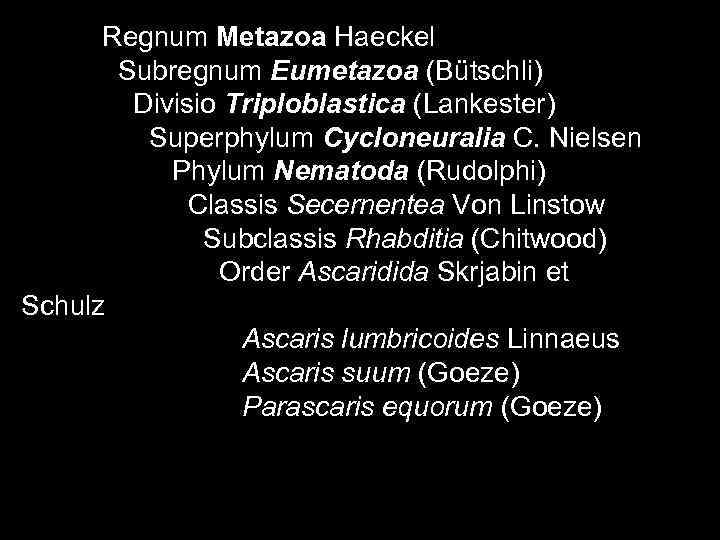  Regnum Metazoa Haeckel  Subregnum Eumetazoa (Bütschli)   Divisio Triploblastica (Lankester) 