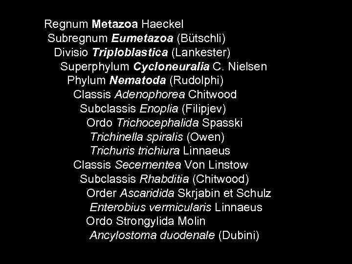 Regnum Metazoa Haeckel Subregnum Eumetazoa (Bütschli) Divisio Triploblastica (Lankester)  Superphylum Cycloneuralia C. Nielsen