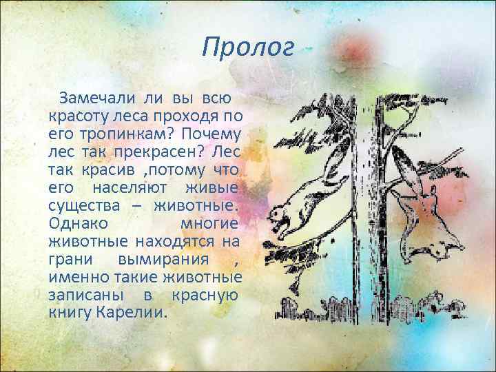    Пролог Замечали ли вы всю красоту леса проходя по его тропинкам?