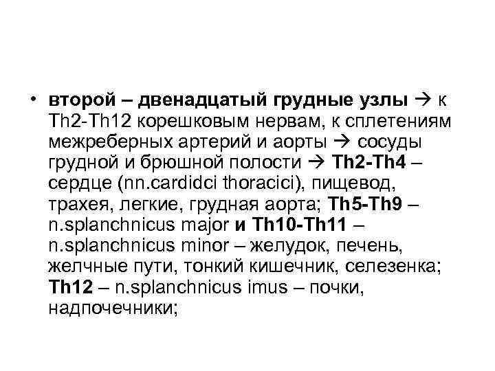  • второй – двенадцатый грудные узлы  к  Th 2 -Th 12