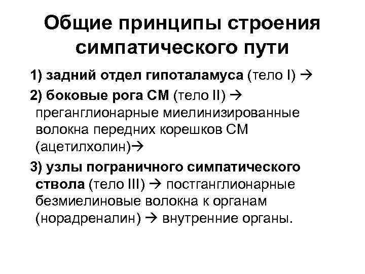  Общие принципы строения  симпатического пути 1) задний отдел гипоталамуса (тело I) 