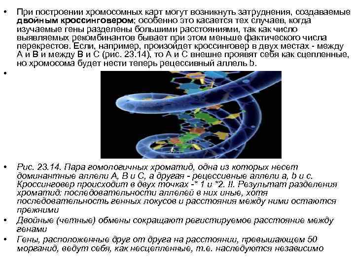  •  При построении хромосомных карт могут возникнуть затруднения, создаваемые двойным кроссинговером; особенно