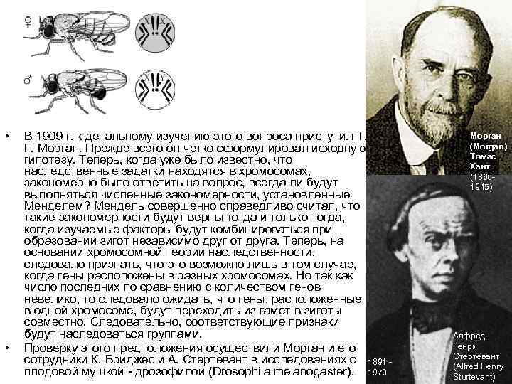      Кэлвин     БРИДЖЕС   