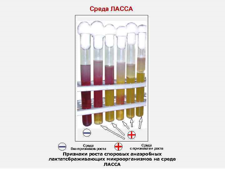    Среда ЛАССА    Cреда    Среда 