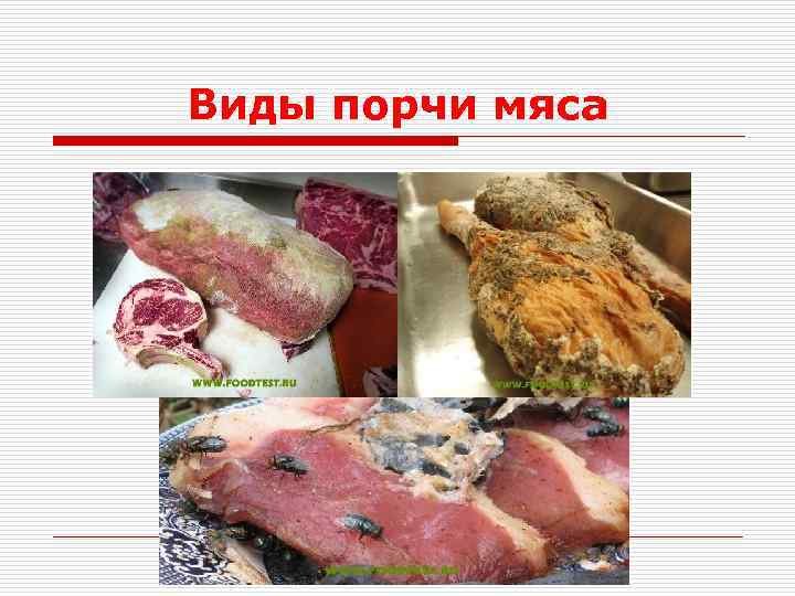 Виды порчи мяса 