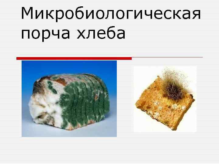 Виды порчи