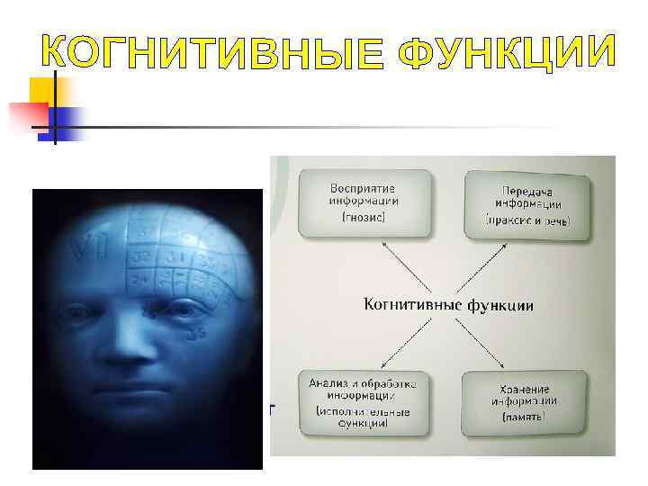 Нарушение когнитивных функций мозга. Когнитивные функции мозга. Когнитивные функции человека. Конегтивные функции. Когнитивные функции головного мозга.