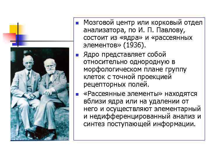 n n n Мозговой центр или корковый отдел анализатора, по И. П. Павлову, состоит