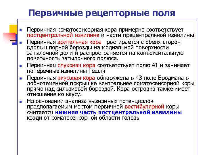 Первичные рецепторные поля n n n Первичная соматосенсорная кора примерно соответствует постцентральной извилине и