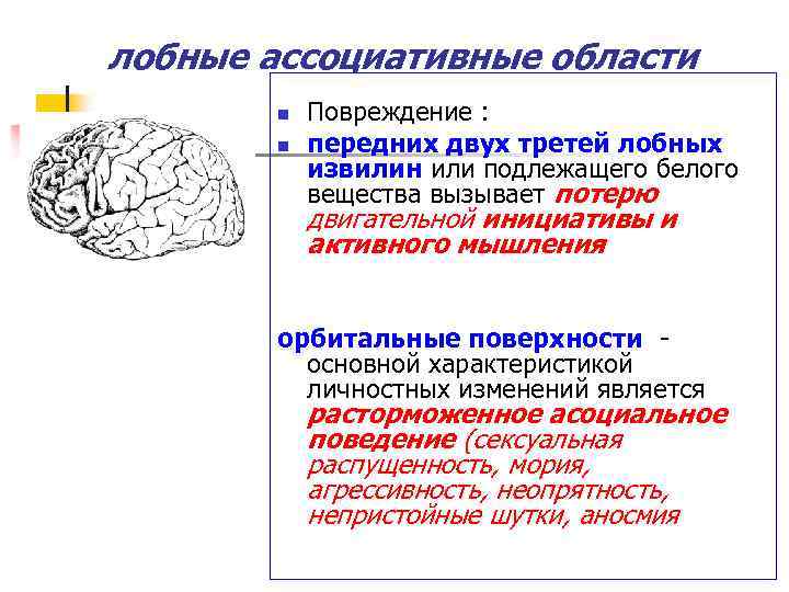 лобные ассоциативные области n n Повреждение : передних двух третей лобных извилин или подлежащего