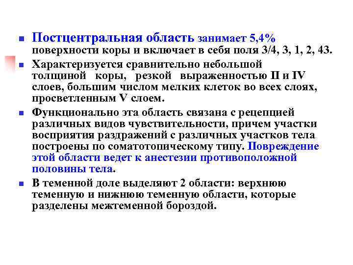 n n Постцентральная область занимает 5, 4% поверхности коры и включает в себя поля