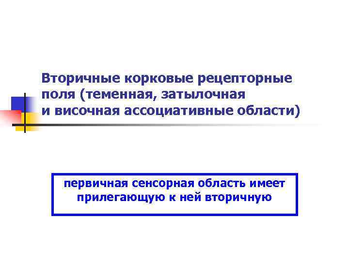 Вторичные корковые рецепторные поля (теменная, затылочная и височная ассоциативные области) первичная сенсорная область имеет